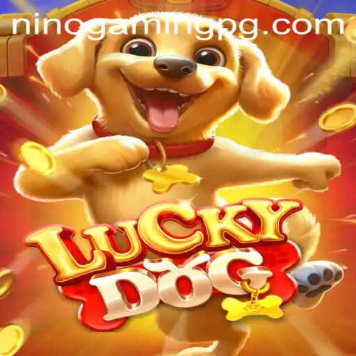 Discover the Thrills of 